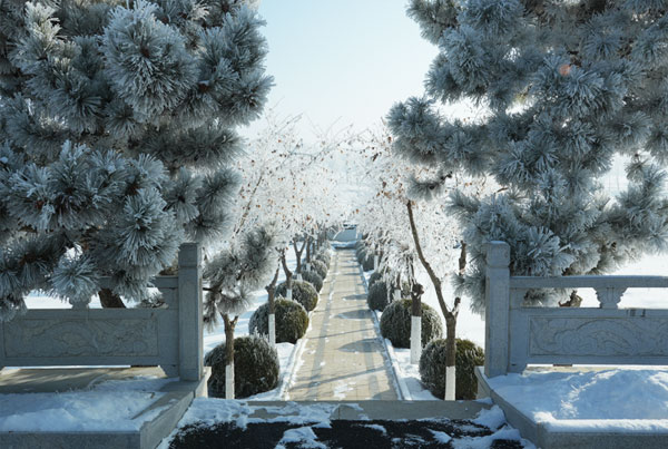 沈阳龙生墓园冬季景色